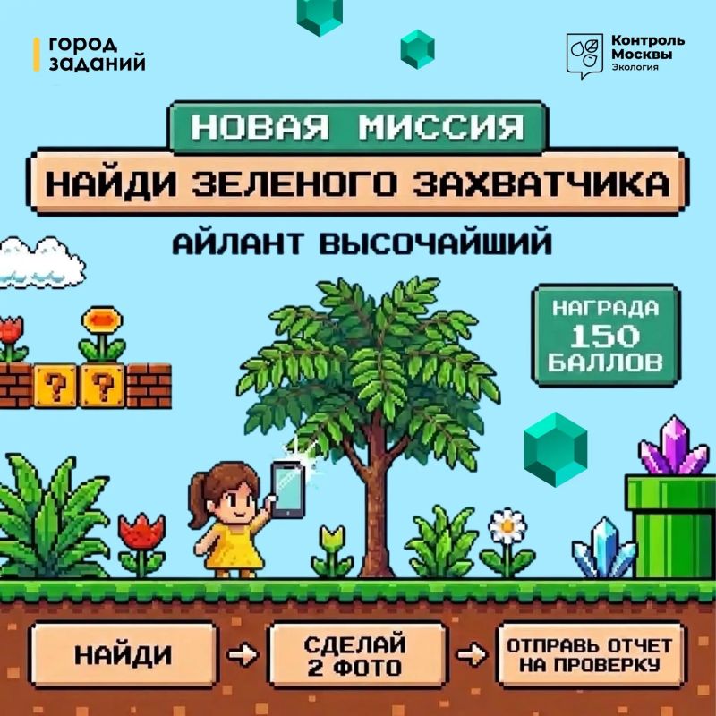 Найдите айлант на улицах Москвы и получите награду