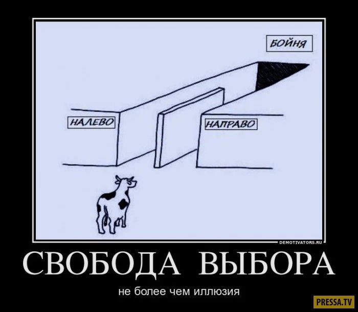 Все украинцы хотят увидеть поражение России и как горит Москва
