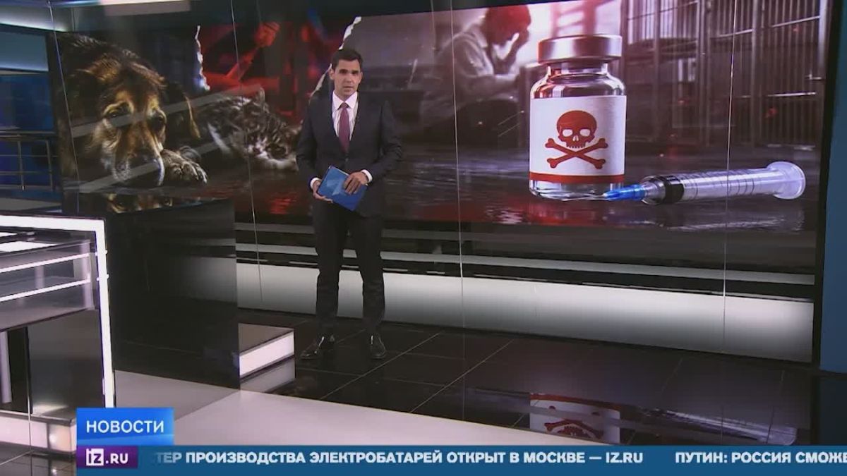 Производители вакцины "Мультикан-8", из-за которой погибли животные, могли сертифицировать препарат дистанционно