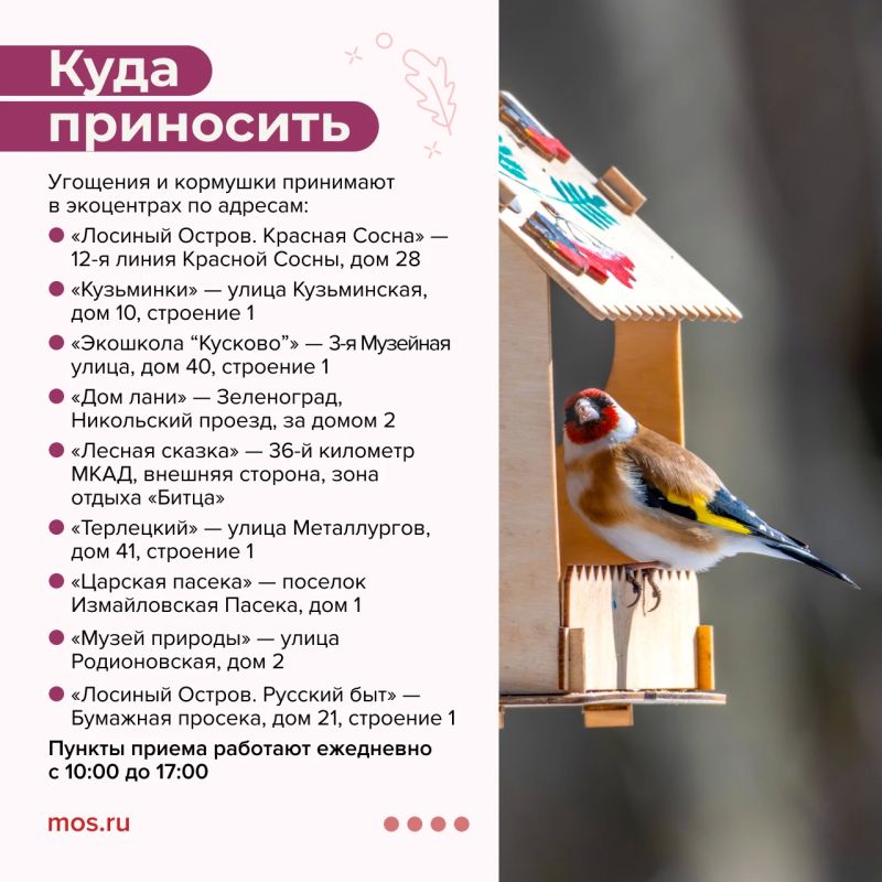 Хотите помочь животным подготовиться к зиме? Тогда присоединяйтесь к акции «Выходные добрых дел» Хотите помочь животным подготовиться к зиме? Тогда присоединяйтесь к акции «Выходные добрых дел»