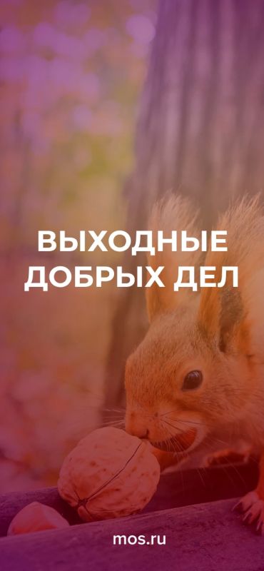 Хотите помочь животным подготовиться к зиме? Тогда присоединяйтесь к акции «Выходные добрых дел»