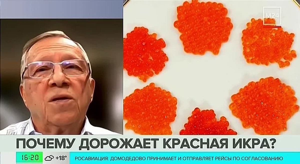 Красная икра по 40 тысяч рублей за килограмм — ждать ли москвичам таких цен к Новому году?