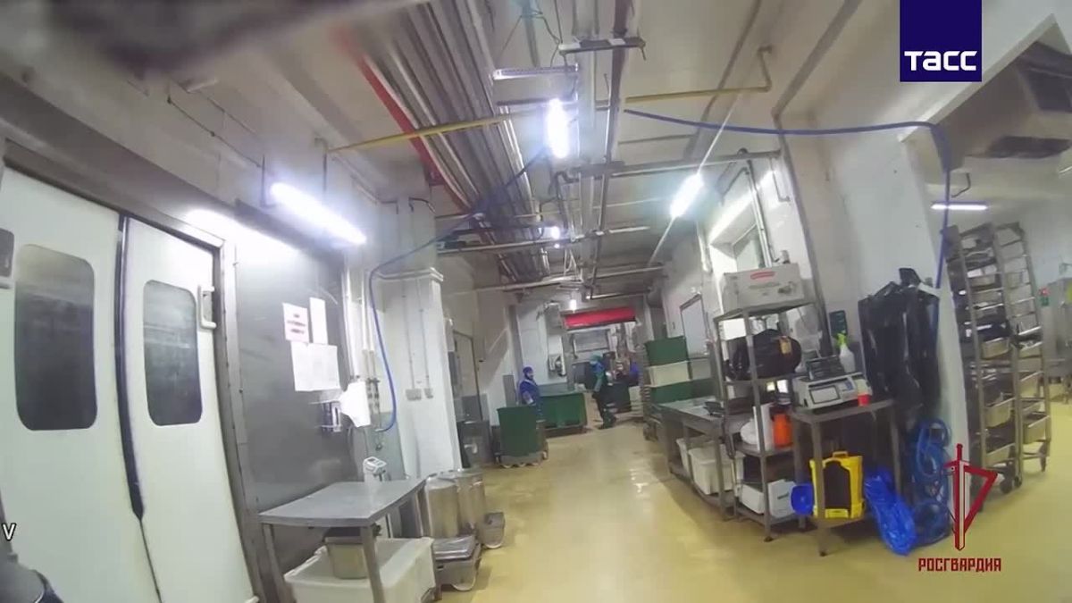 В Люберцах во время рейда в цехе по производству продуктов питания обнаружили свыше 100 нелегальных мигрантов, сообщили ТАСС в Росгвардии