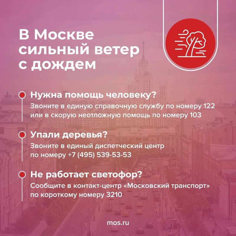 Кратковременные дожди и сильный ветер с порывами до 17 м/с ожидаются сегодня и завтра в Москве