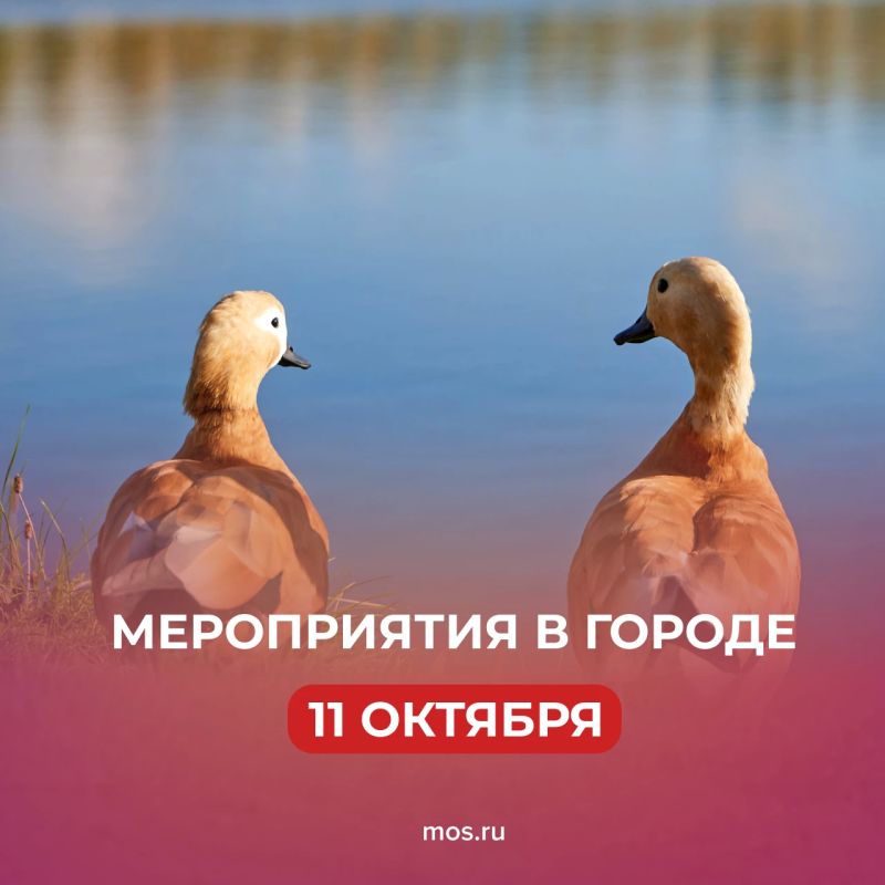 Воскресенье! Собрали интересные мероприятия в нашем дайджесте