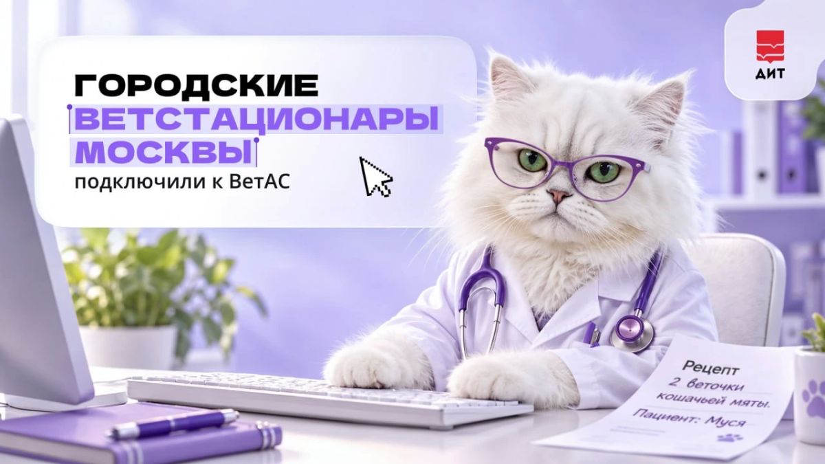 Питомца срочно привезли в ветстационар, но у вас с собой нет результатов анализов и прошлых назначений?