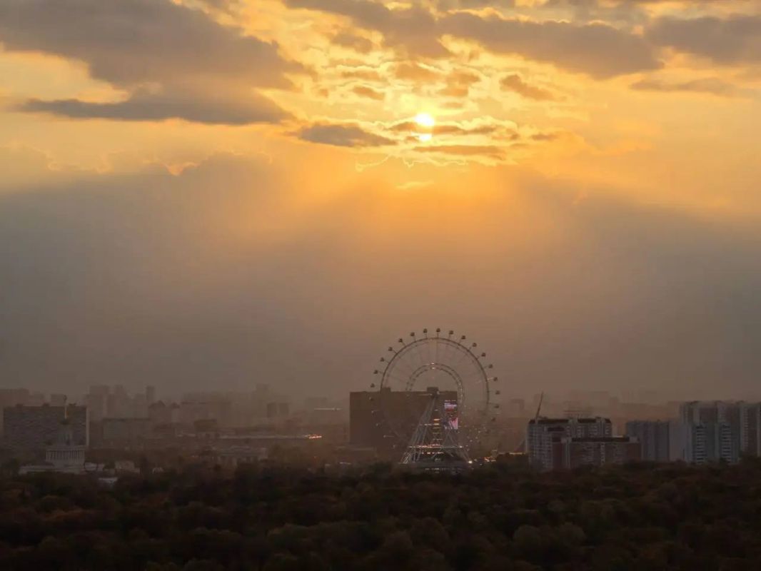 Прошедшая ночь стала самой теплой в Москве за 45 лет