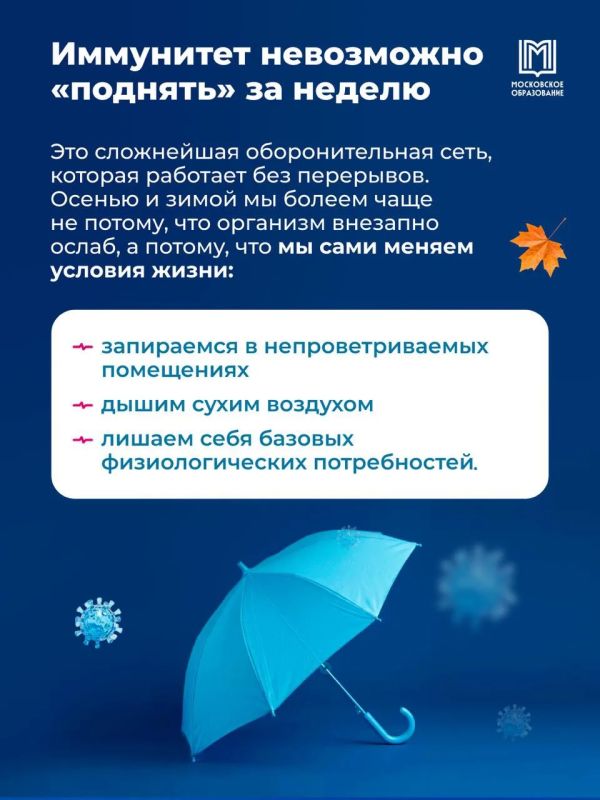 Инструкция на осень: витамины, чеснок и тёплые носки? Инструкция на осень: витамины, чеснок и тёплые носки?