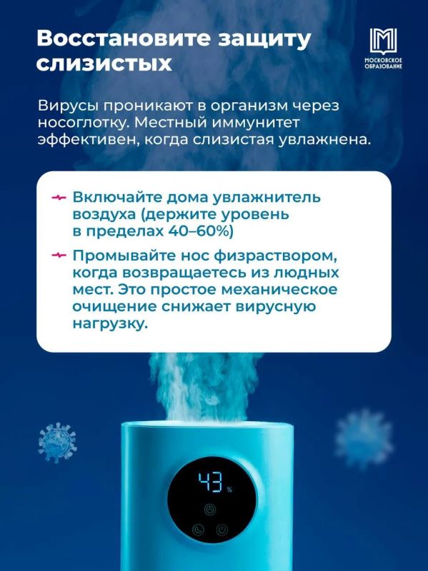 Инструкция на осень: витамины, чеснок и тёплые носки? Инструкция на осень: витамины, чеснок и тёплые носки?