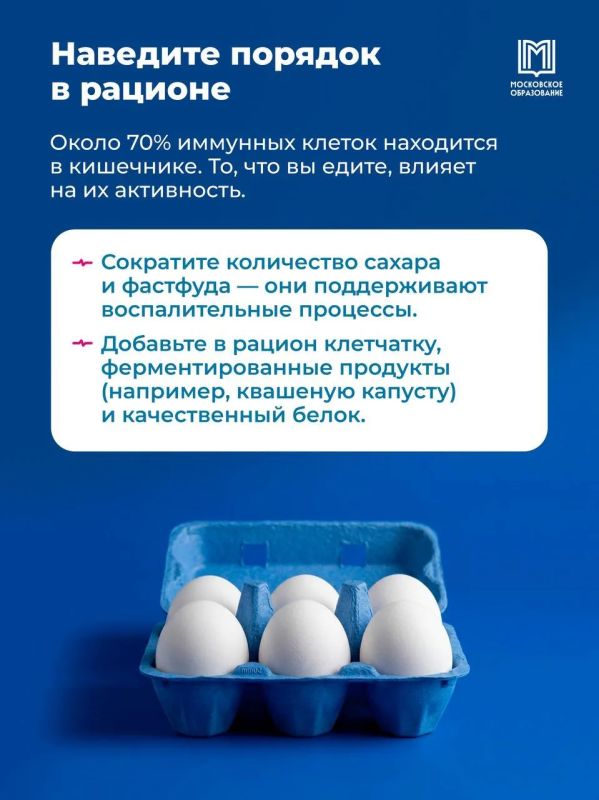 Инструкция на осень: витамины, чеснок и тёплые носки? Инструкция на осень: витамины, чеснок и тёплые носки?