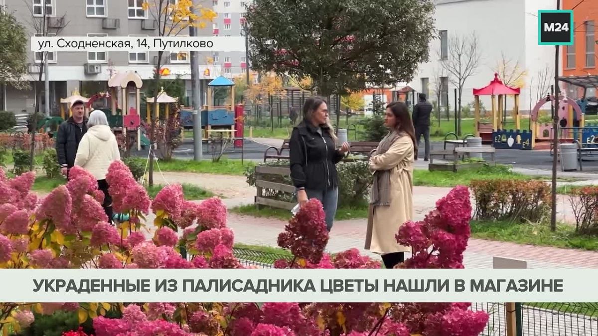 Жительнице Подмосковья, срезавшей гортензии в палисаднике ЖК, грозит наказание по статье о мелком хищении, рассказал эксперт по ЖКХ Дмитрий Бондарь «Москве 24»