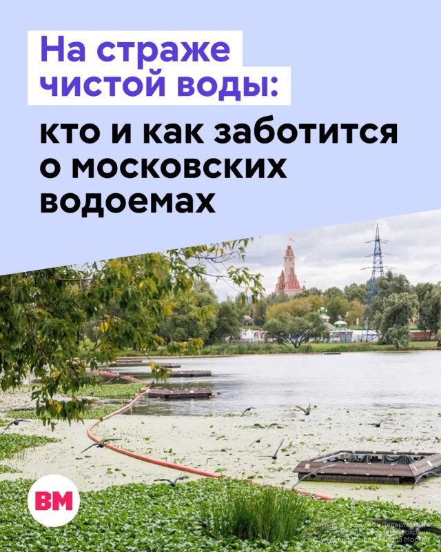 Сколько воды ежедневно потребляет Москва? Почти 3 миллиона кубометров