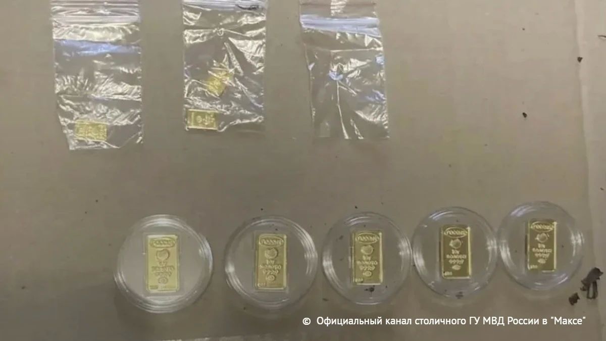 Домработница похитила 155 золотых слитков из квартиры в Москве на сумму более 1 млн рублей, сообщили ТАСС в столичном ГУ МВД