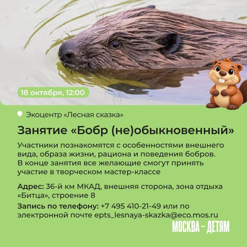 Правда ли, что бобры добры и на ужин они готовят полено? Узнать все об этих забавных грызунах приглашают московские экоцентры! Юных исследователей ждут лекции, квесты и мастер-классы Правда ли, что бобры добры и на ужин они готовят полено? Узнать все об этих забавных грызунах приглашают московские экоцентры! Юных исследователей ждут лекции, квесты и мастер-классы