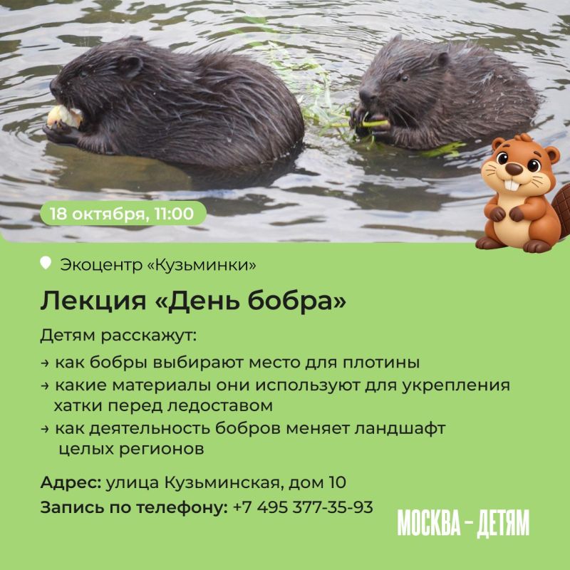 Правда ли, что бобры добры и на ужин они готовят полено? Узнать все об этих забавных грызунах приглашают московские экоцентры! Юных исследователей ждут лекции, квесты и мастер-классы Правда ли, что бобры добры и на ужин они готовят полено? Узнать все об этих забавных грызунах приглашают московские экоцентры! Юных исследователей ждут лекции, квесты и мастер-классы