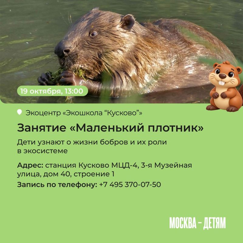 Правда ли, что бобры добры и на ужин они готовят полено? Узнать все об этих забавных грызунах приглашают московские экоцентры! Юных исследователей ждут лекции, квесты и мастер-классы Правда ли, что бобры добры и на ужин они готовят полено? Узнать все об этих забавных грызунах приглашают московские экоцентры! Юных исследователей ждут лекции, квесты и мастер-классы