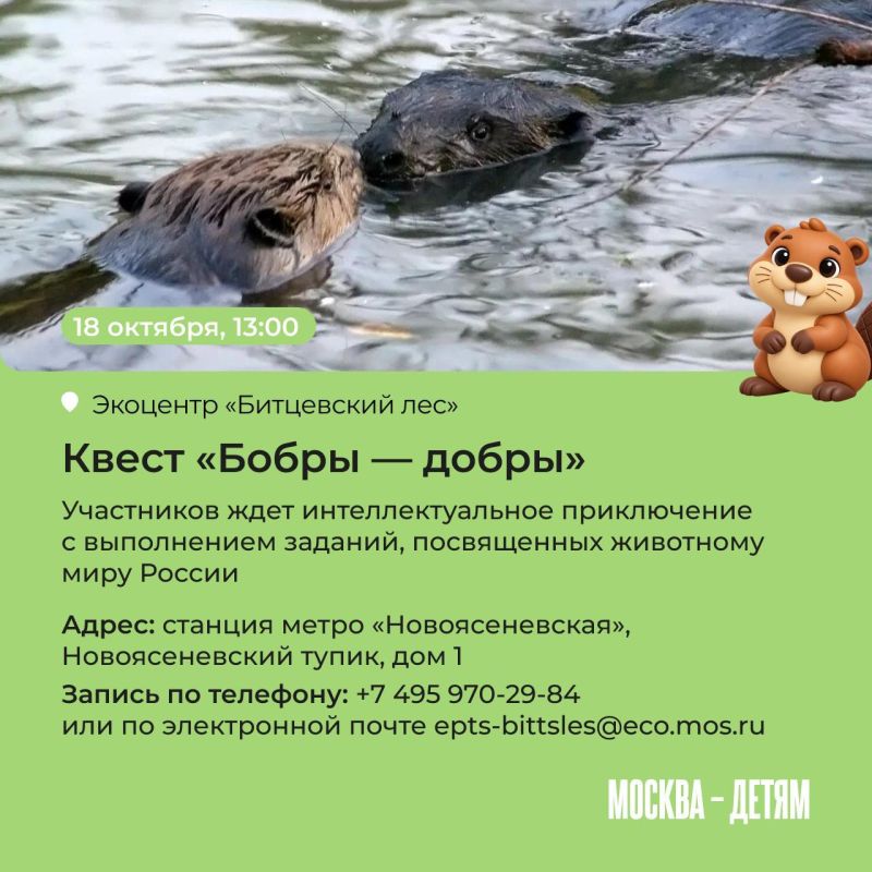 Правда ли, что бобры добры и на ужин они готовят полено? Узнать все об этих забавных грызунах приглашают московские экоцентры! Юных исследователей ждут лекции, квесты и мастер-классы Правда ли, что бобры добры и на ужин они готовят полено? Узнать все об этих забавных грызунах приглашают московские экоцентры! Юных исследователей ждут лекции, квесты и мастер-классы