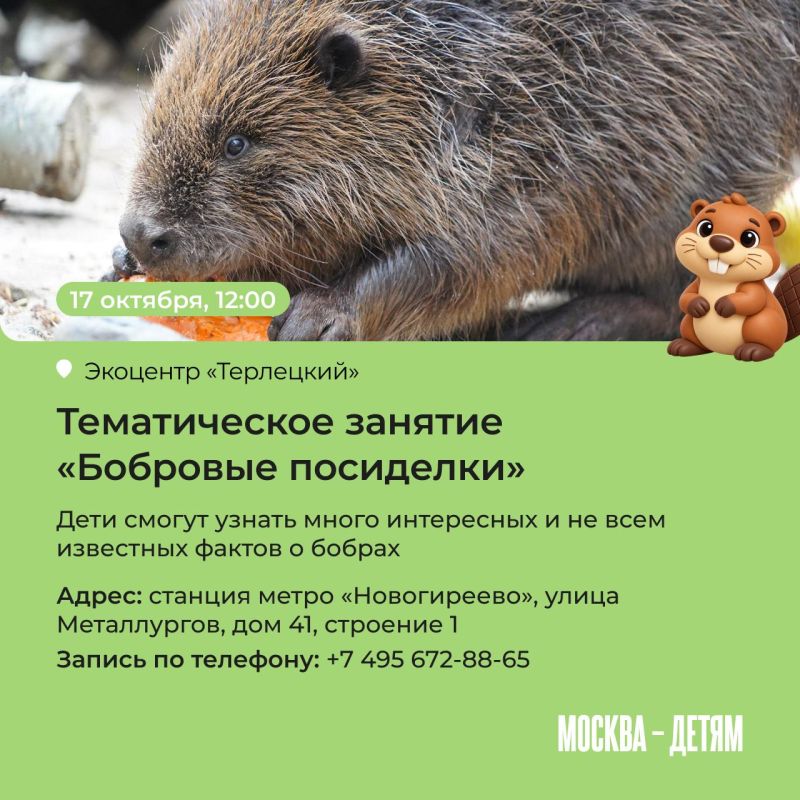 Правда ли, что бобры добры и на ужин они готовят полено? Узнать все об этих забавных грызунах приглашают московские экоцентры! Юных исследователей ждут лекции, квесты и мастер-классы Правда ли, что бобры добры и на ужин они готовят полено? Узнать все об этих забавных грызунах приглашают московские экоцентры! Юных исследователей ждут лекции, квесты и мастер-классы