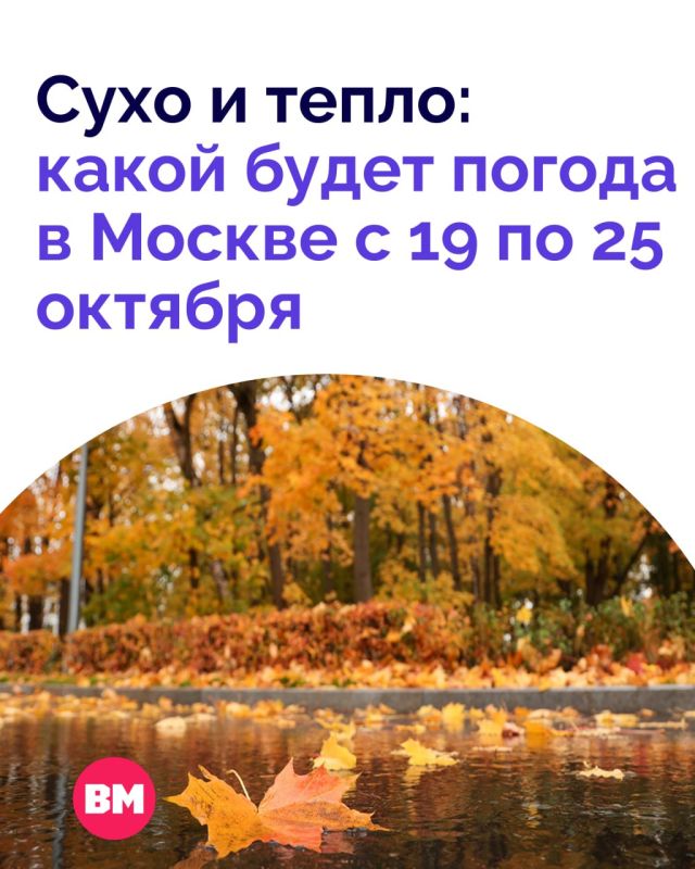 Погода за окном будто намекает: провести сегодняшний день дома — настоящее преступление