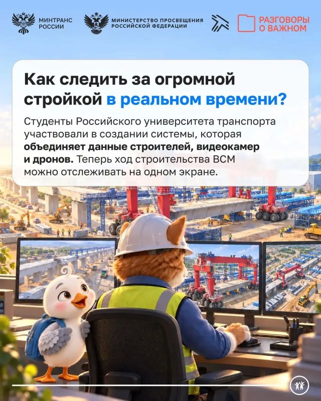 Наш Пеликаша Тим — парень дружелюбный Наш Пеликаша Тим — парень дружелюбный