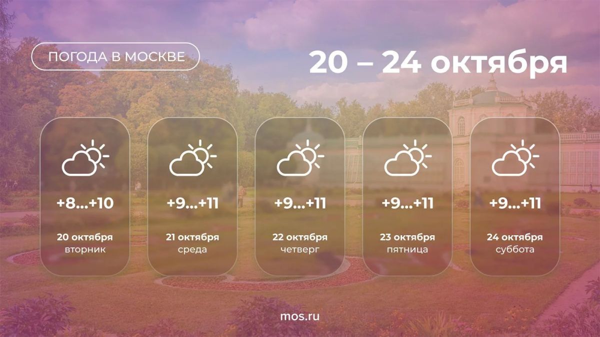 В Москве до конца недели сохранится спокойная осенняя погода без осадков
