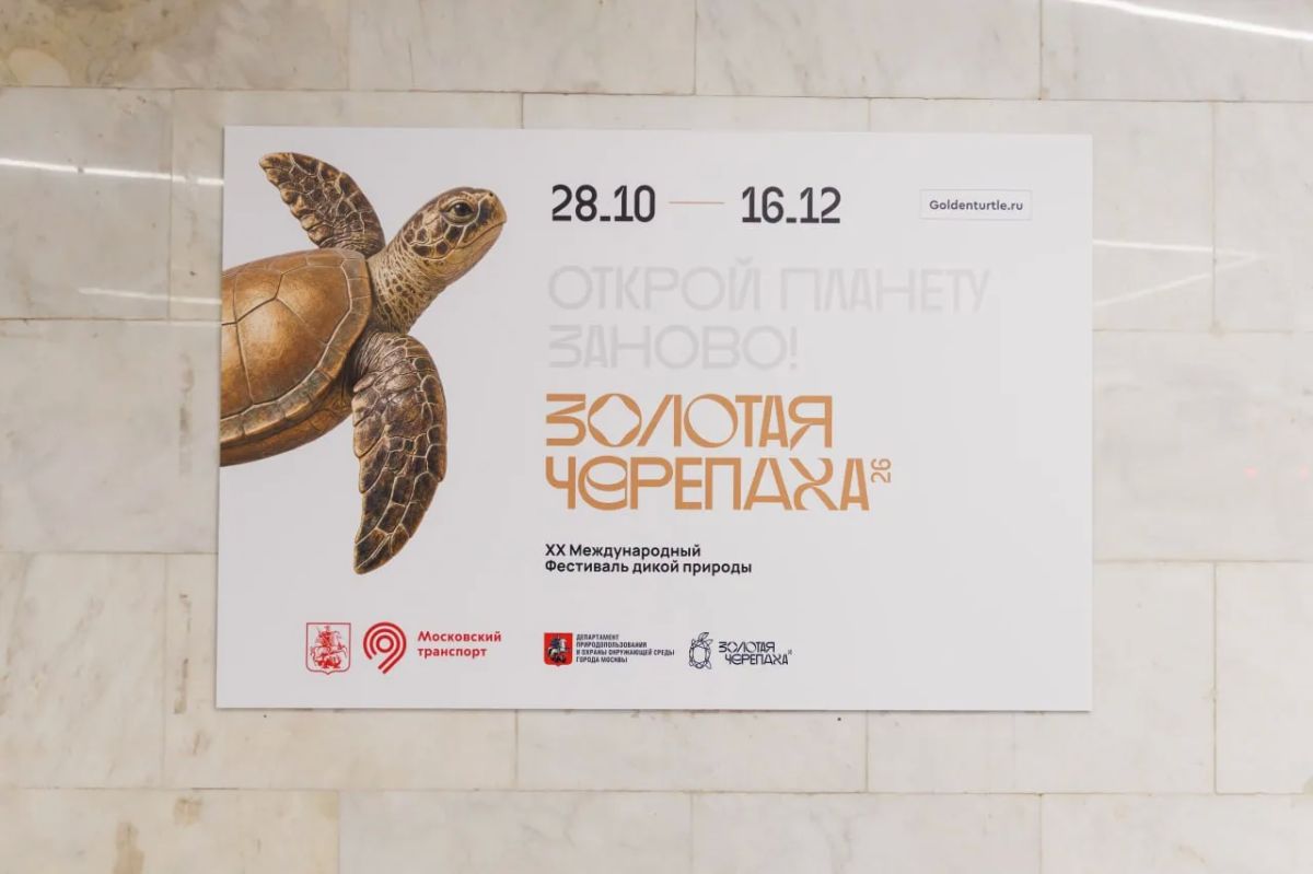 В переходе между станциями «Новаторская» Большой кольцевой линии (БКЛ) и Троицкой линии метро открылась новая фотовыставка — «Золотая черепаха»