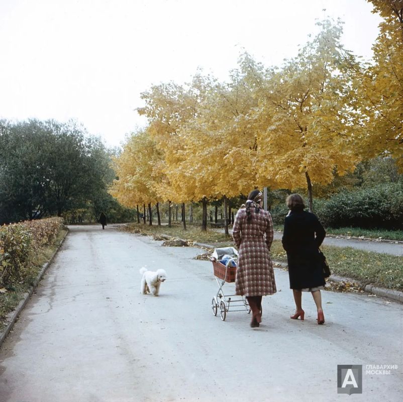 В рубрике #линия_жизни делимся секретом удачного осеннего дня мемуаристки Татьяны Мясниковой: