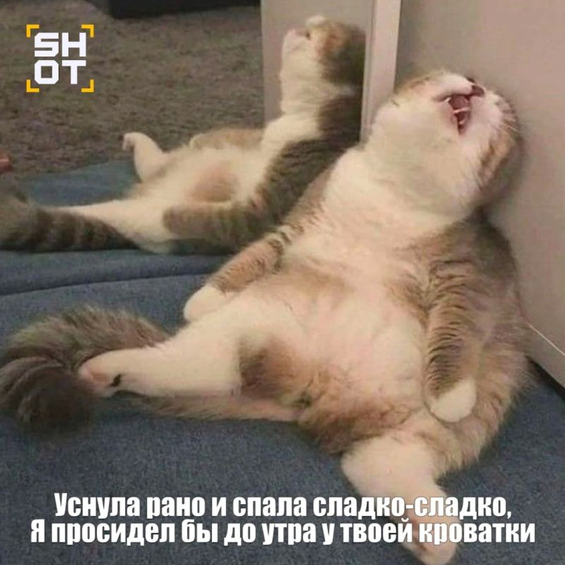 Женщина едва не спалила квартиру и затопила соседей одновременно в центре Москвы — она начала делать дела по дому, но легла на кровать и уснула