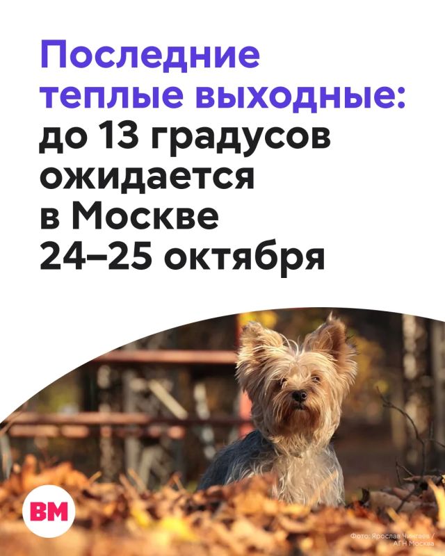 Золотая осень не спешит прощаться с Москвой