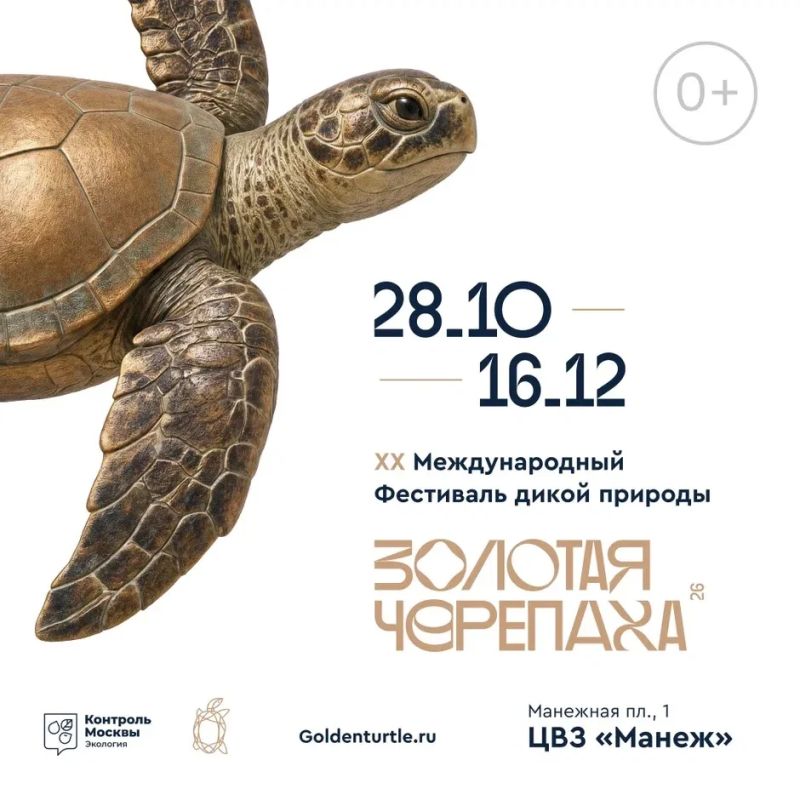 Фестиваль «Золотая черепаха» откроется в «Манеже»