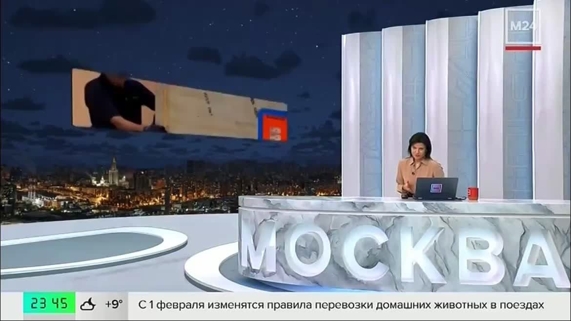 Зрители по всему миру получили возможность увидеть шедевр Клода Моне «Ирисы»