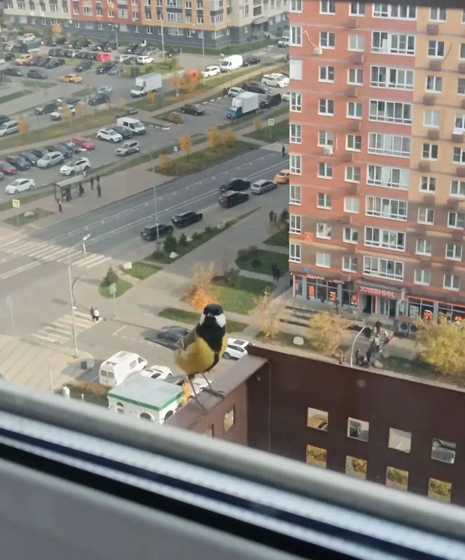 АТМОСФЕРА: выходные в Москве будут такими же тёплыми, как фото наших подписчиков АТМОСФЕРА: выходные в Москве будут такими же тёплыми, как фото наших подписчиков
