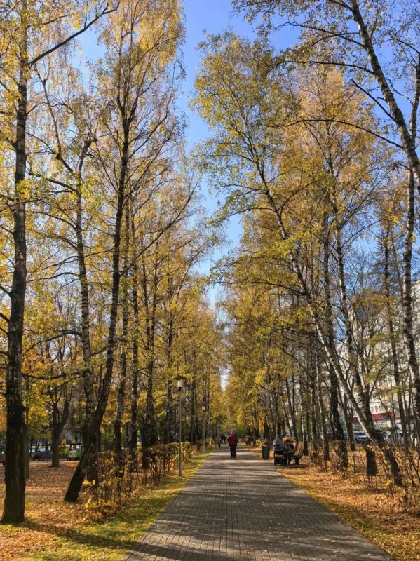 АТМОСФЕРА: выходные в Москве будут такими же тёплыми, как фото наших подписчиков
