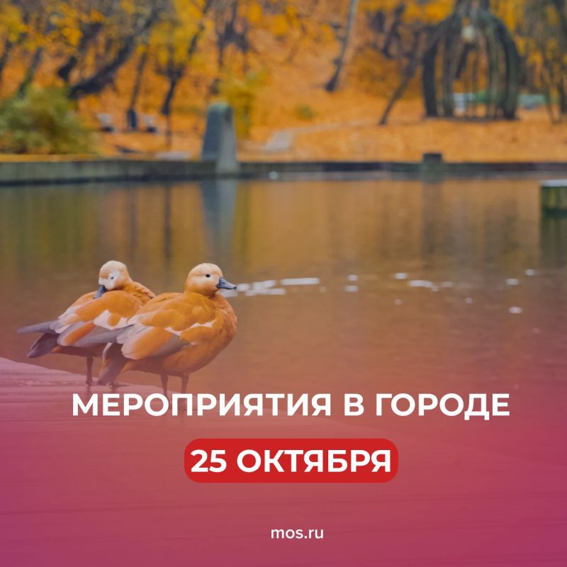 Интересные мероприятия сегодня в городе