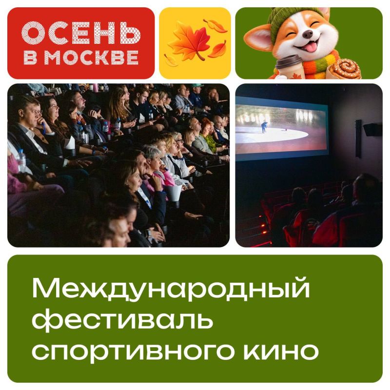 Фильмы о победах, силе характера и большой мечте: в Москве проходит XXIV Международный фестиваль спортивного кино