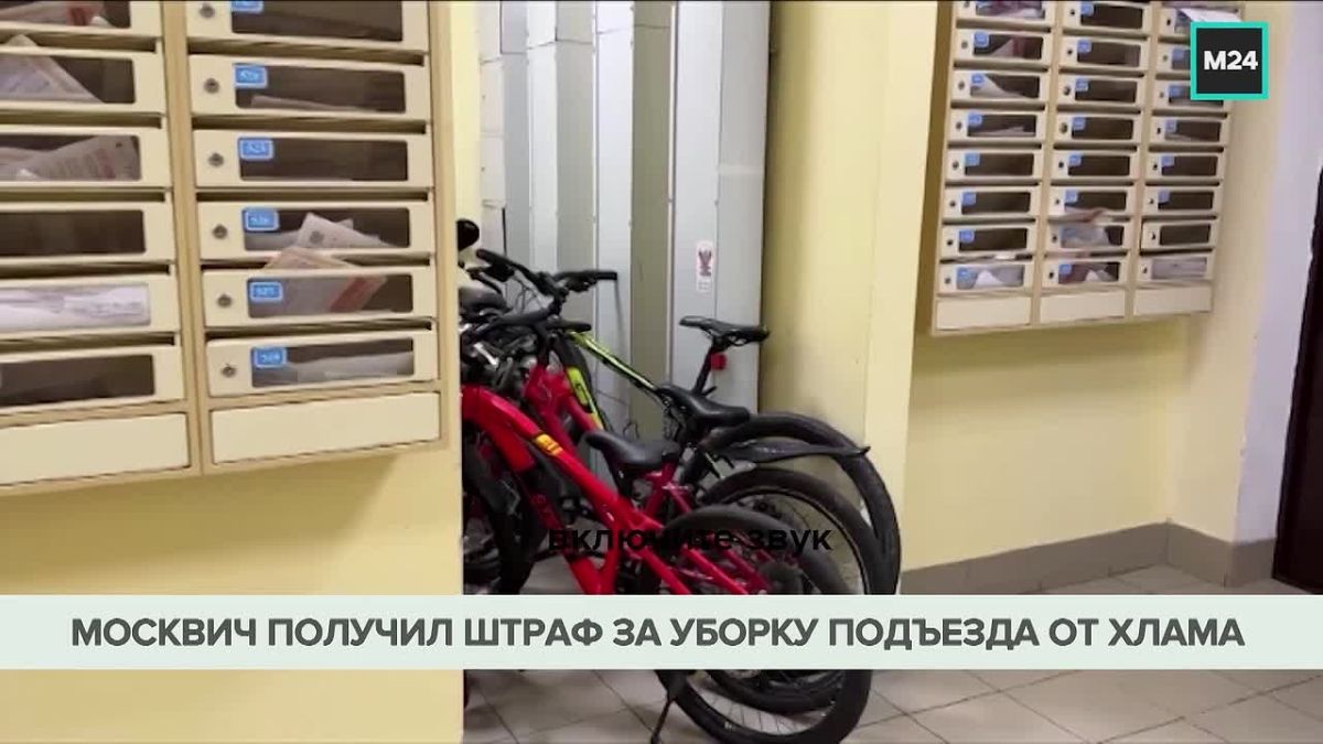 Москвич вынес из подъезда чужие велосипеды и избежал наказания