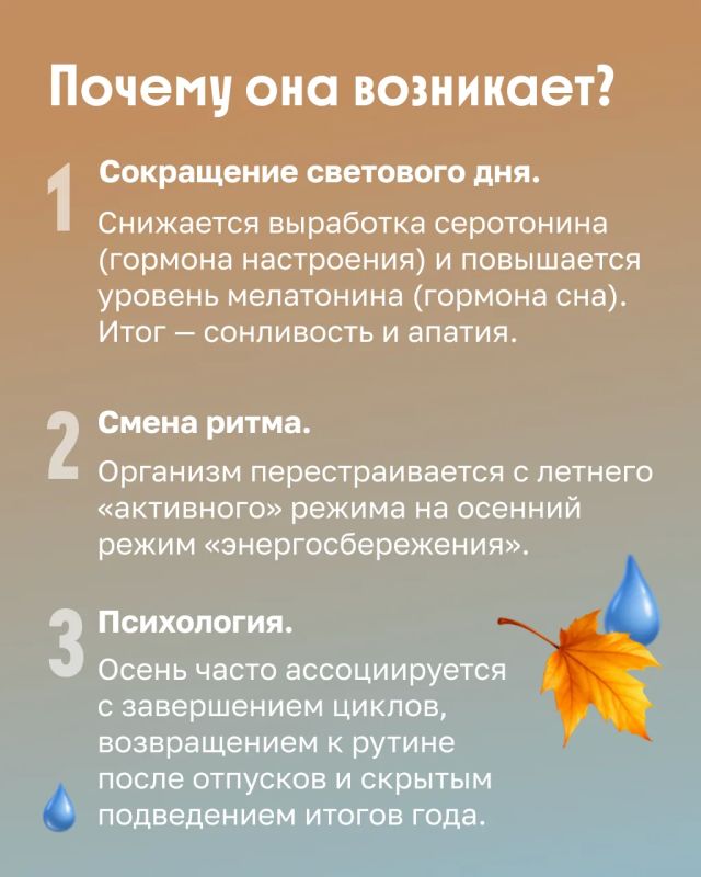 Осенью даже привычные дела порой требуют больше сил Осенью даже привычные дела порой требуют больше сил