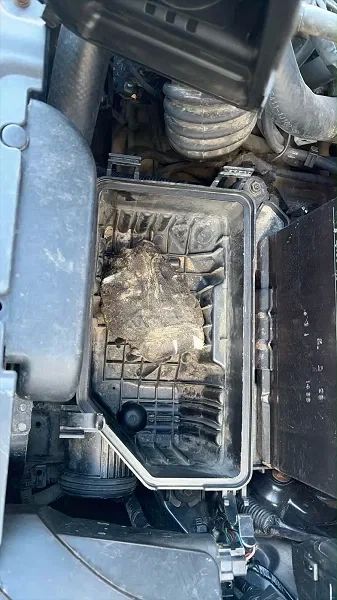 Под капотом — не мотор, а 200 граммов кокаина: во Внуково задержан подозреваемый в покушении на сбыт