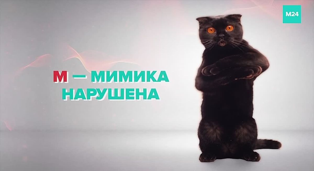 Запускаем челлендж, который может помочь спасти чью-то жизнь