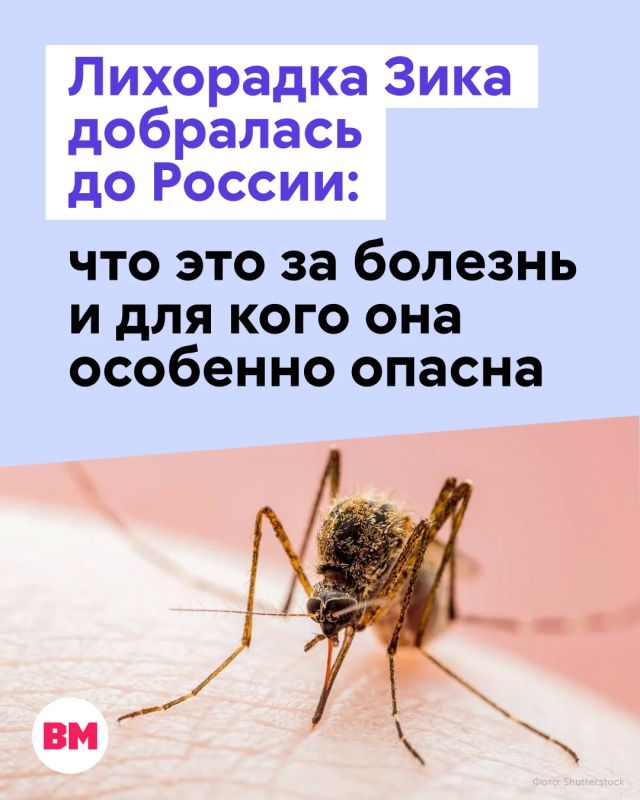 В Москве обнаружили завозной случай заражения вирусом Зика