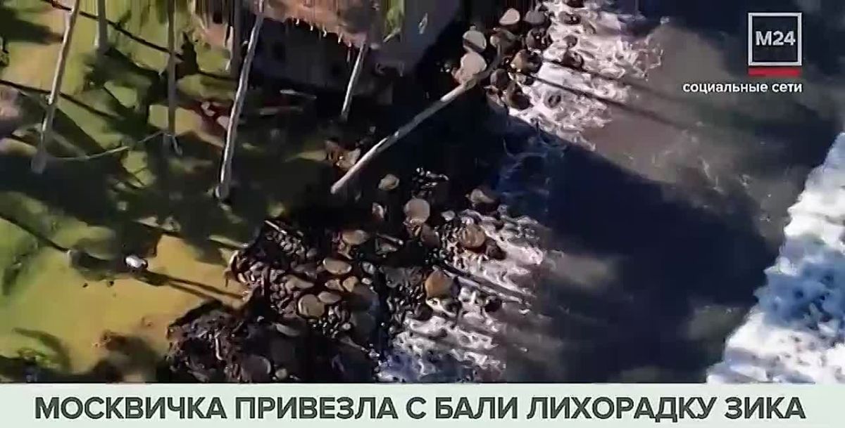 Москвичку госпитализировали с лихорадкой Зика после отпуска на Бали