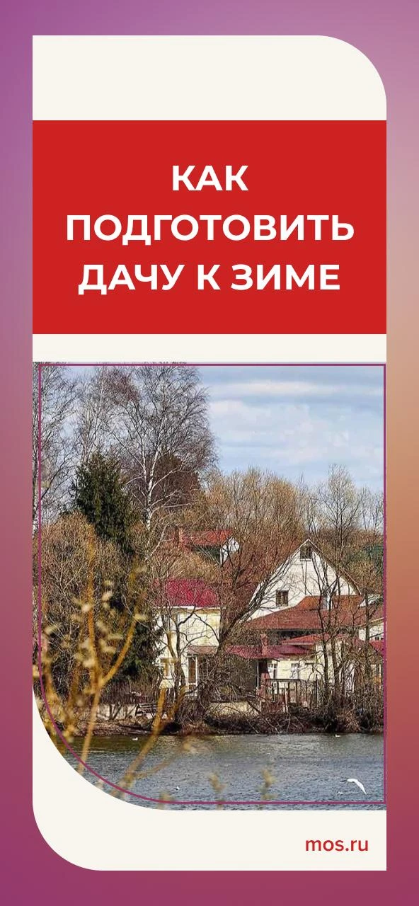 Осенью многие владельцы дач закрывают сезон и уезжают в город