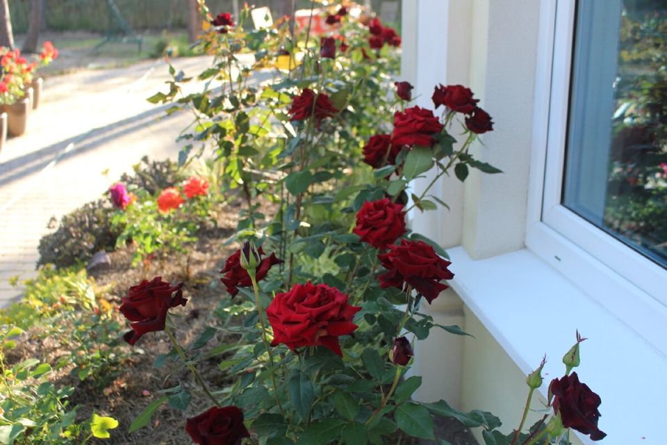 ������� ������: ����� �������� ���������� � ���� � �������� ����