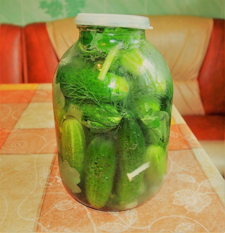 Как солить огурцы по-деревенски: простая рецептура, завоевавшая сердца