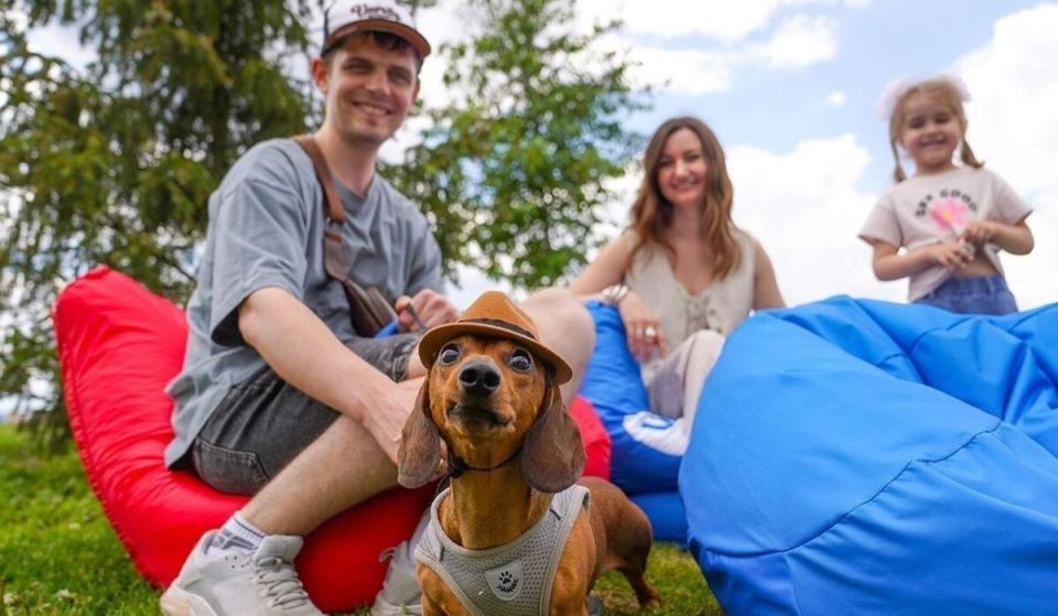 В Госдуме предлагают установить лимиты на домашних животных в жилых квартирах