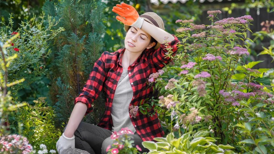 О комарах на дачном участке можно забыть: эти растения мигом их отпугнут