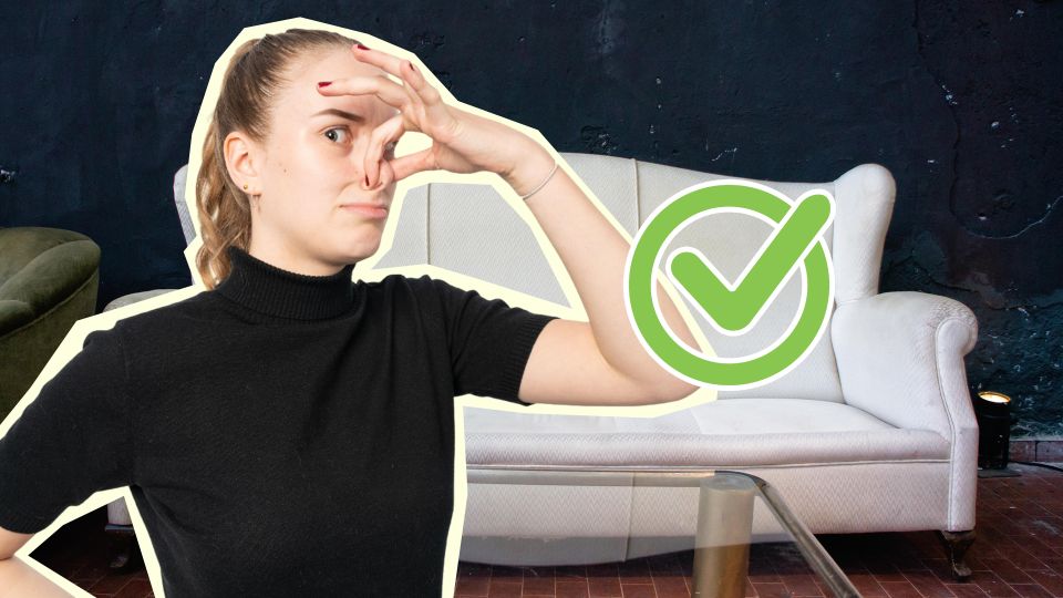 Диван неприятно пахнет? Вот как избавиться от затхлости, не потратив ни копейки