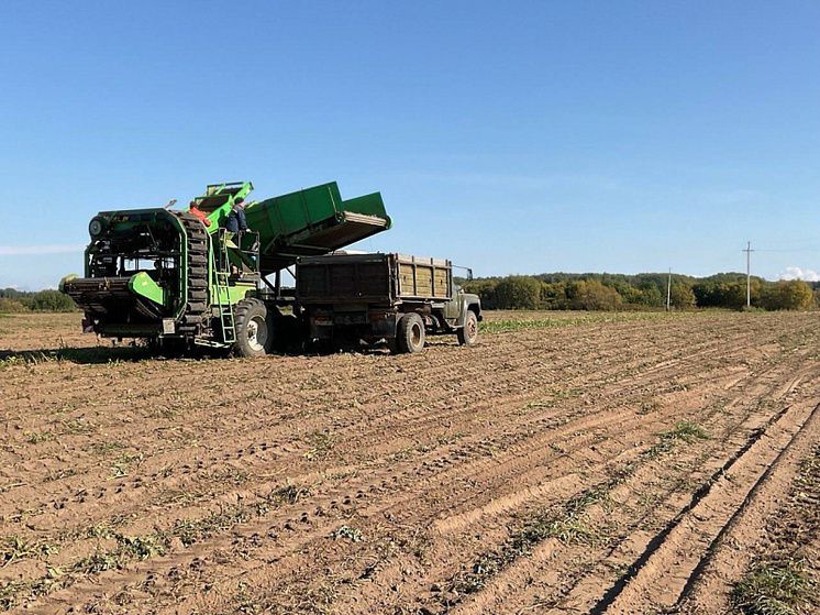 ������������������ �������: �������� ����� ��������� �������� 2025 ����