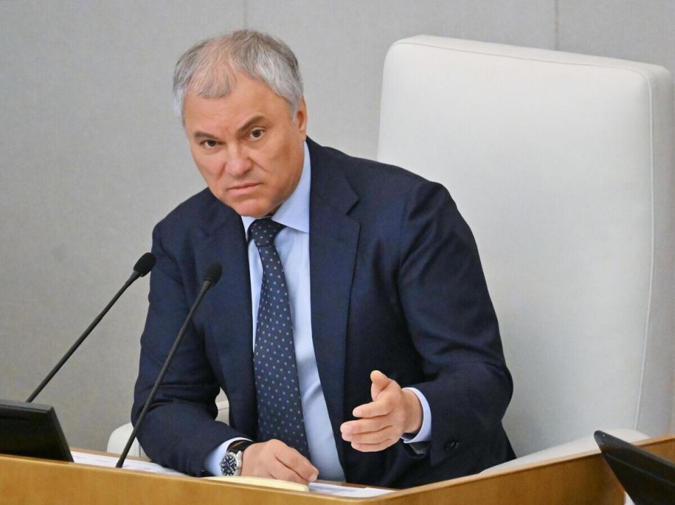 Володин предлагает ввести новые меры для преступников, находящихся за границей