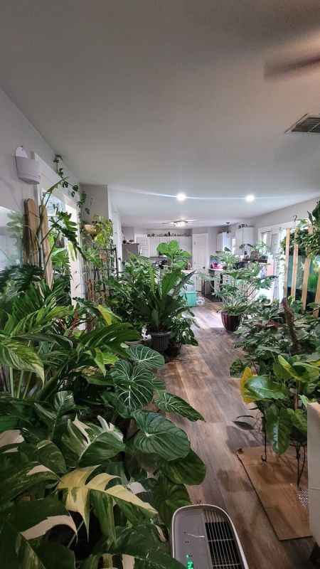 ��� ������� ��������� ��������� ��������: ������ ��� ���������� � �� ������